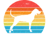 American English Coonhound