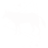 Wolf - Tierfreund Naturschutz