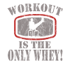 Circuit training