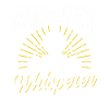 Magnet Flüsterer Magnetfischer Magnetfischen