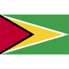 Guyana National Flagge