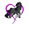 Horse lovers - Frisians