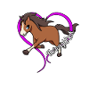 Horse lovers - thoroughbred