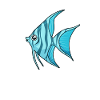 Kawaii Scalar