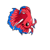 Kawaii Siamese betta