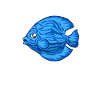 Kawaii Diskusfisch
