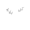 Halloween Spirit