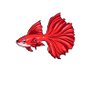 Kawaii Guppy