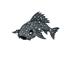 Kawaii catfish