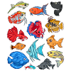 Various ornamental fish - aquaristics
