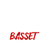 Team Bassett