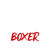 Team Boxer