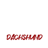 Team Dachshund