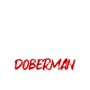 Team Dobermann