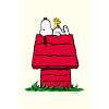 Peanuts Snoopy Woodstock e il poster della cuccia