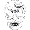 CIA Skull Transparent