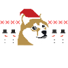 Babbo Doge Brutto Natale
