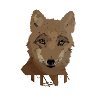 Finn Birthday Finn