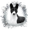 basenji,dog,graffiti,painting