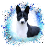 basenji,dog,graffiti,painting