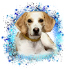 Harrier,Dog,Beagle,Graffiti,Painting