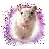 Springmaus,maus,graffiti,malerei,spitzmaus
