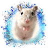 Springmaus,maus,graffiti,malerei,spitzmaus