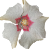 White Flower Red
