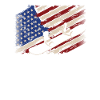 Drapeau américain Snowboard Snowboard