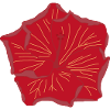 Hibiskus