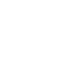 Lotus Flower