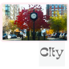 City