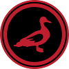 Duck animal
