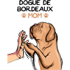 Chiens Dogue de Bordeaux