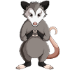 Opossum Enfants Filles Dames