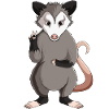 Opossum Enfants Filles Dames