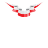 Poland Flag Banner