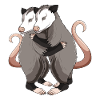 Opossum Filles Enfants Dames
