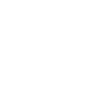 Flying spider