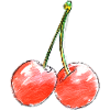 Two Sweet Cherries Sketch