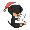 Dachshund dog Christmas sleep tired