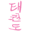 Taekwondo Kanji Design in pink