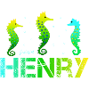 Henry Birthday Henry