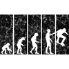 Skateboarder Skateboard Skater Skate Evolution