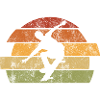 Skateboarder Skateboard Skater Skate Skateing