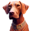 Magyar Vizsla - Vizsla Dog
