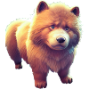 Chien Eurasier - Eurasier