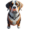 Grand Bouvier Suisse