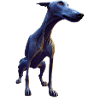 Lurcher Hund - Lurcher