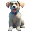 Kangal Dog - Kangal
